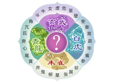 星宿是什麼|你屬於28星宿的哪一宿？有何種天命？